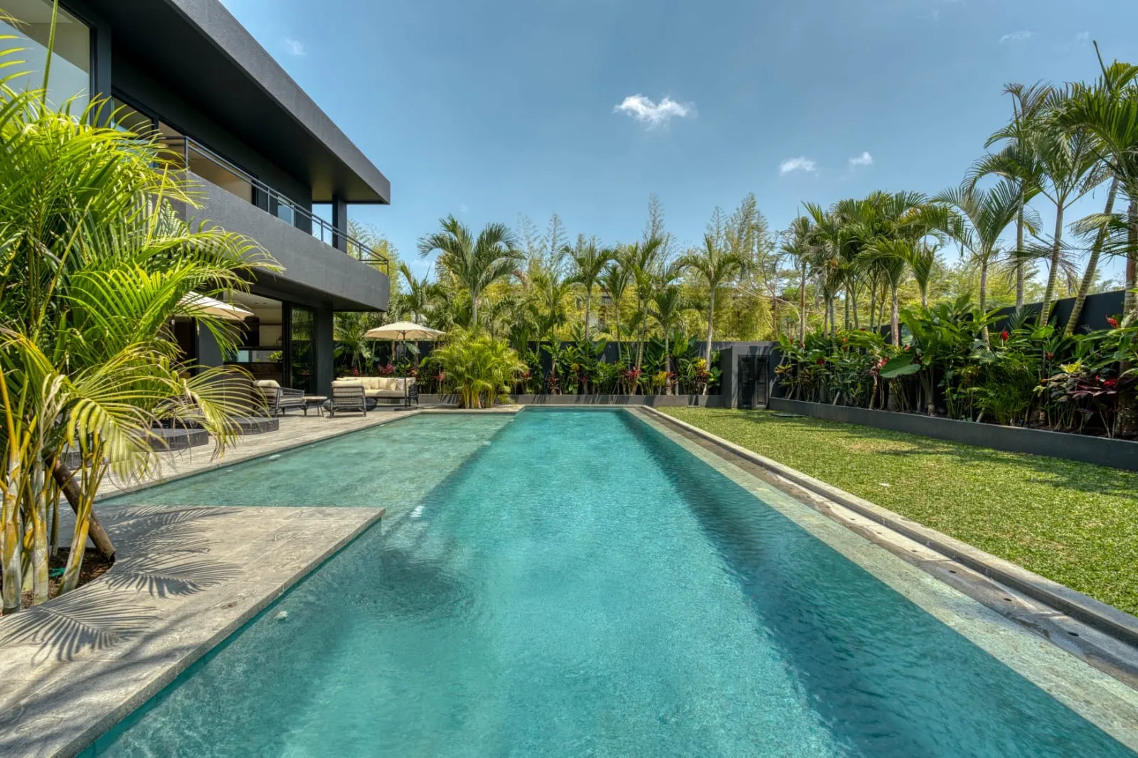 The 60 m² pool and the lawn
